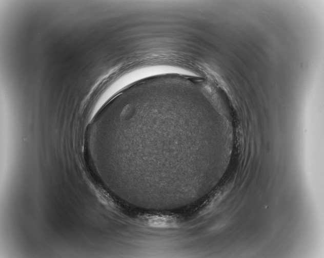 X0000085300400200703161437