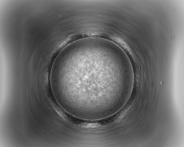 X0000085300401200703161437