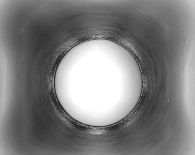 X0000085300402200703161437