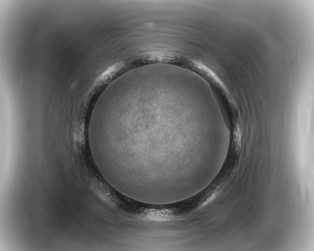 X0000085300403200703161437