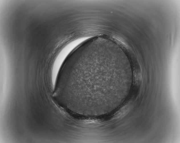 X0000085300404200703161437