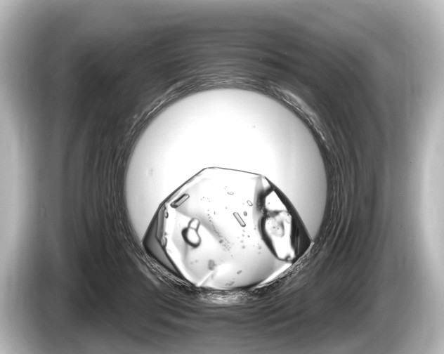 X0000085300405200703161437