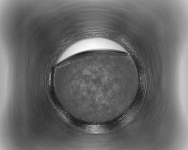 X0000085300406200703161437