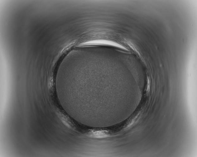 X0000085300407200703161437