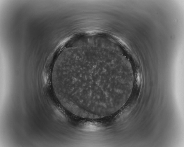 X0000085300408200703161437