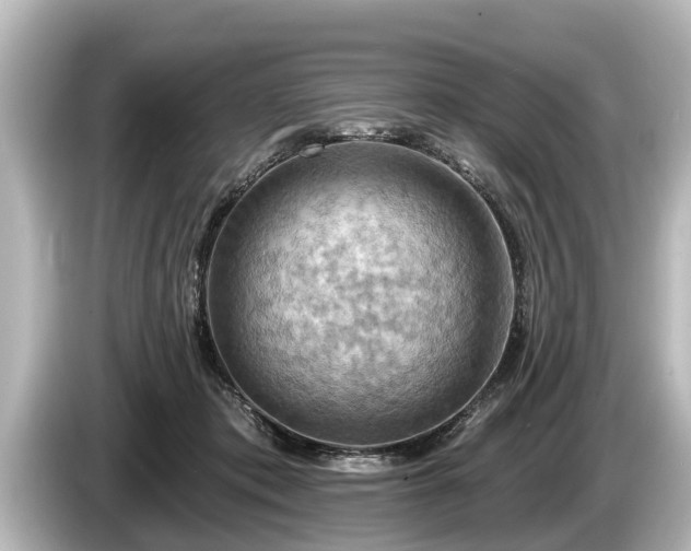 X0000085300413200703161437