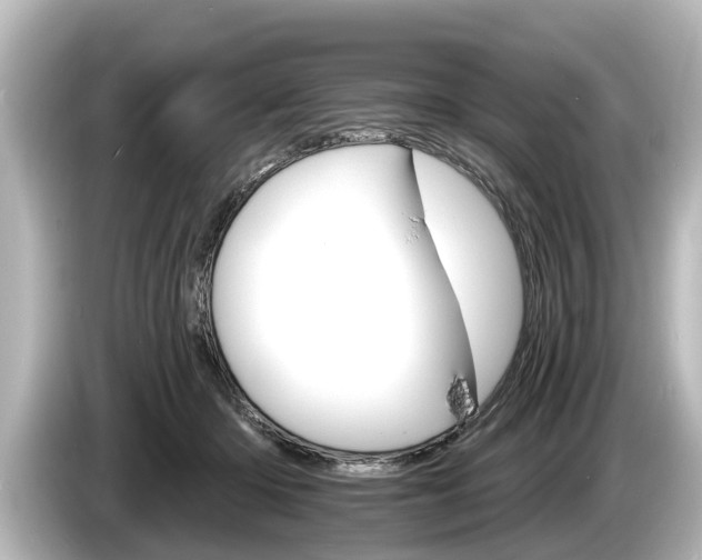 X0000085300414200703161437