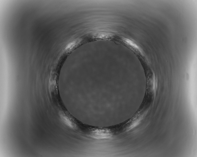 X0000085300415200703161437