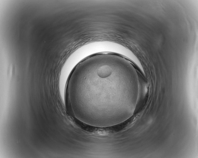 X0000085300416200703161437