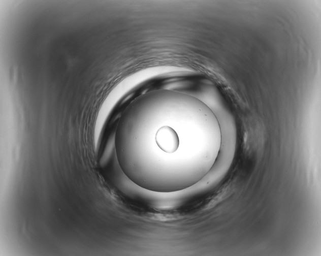 X0000085300417200703161437