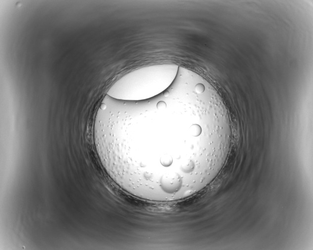 X0000085300418200703161437