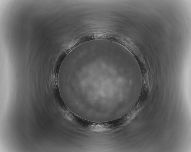 X0000085300419200703161437