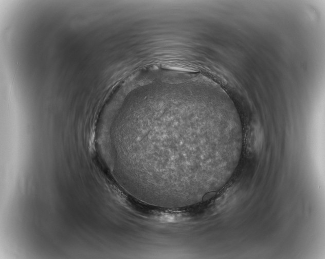 X0000085300420200703161437