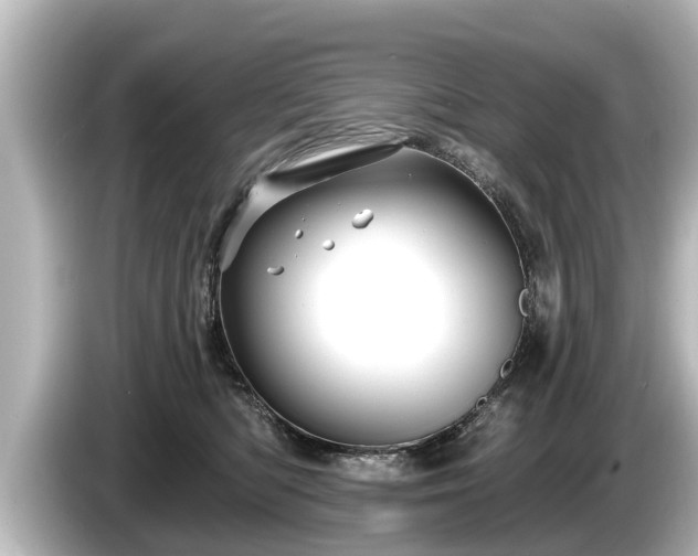 X0000085300422200703161437