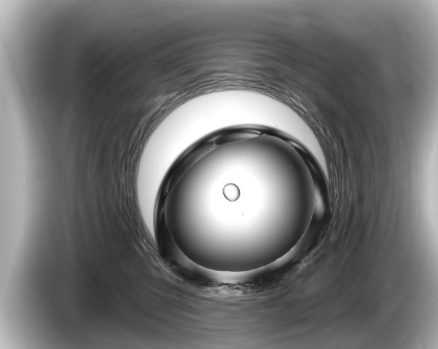 X0000085300423200703161437