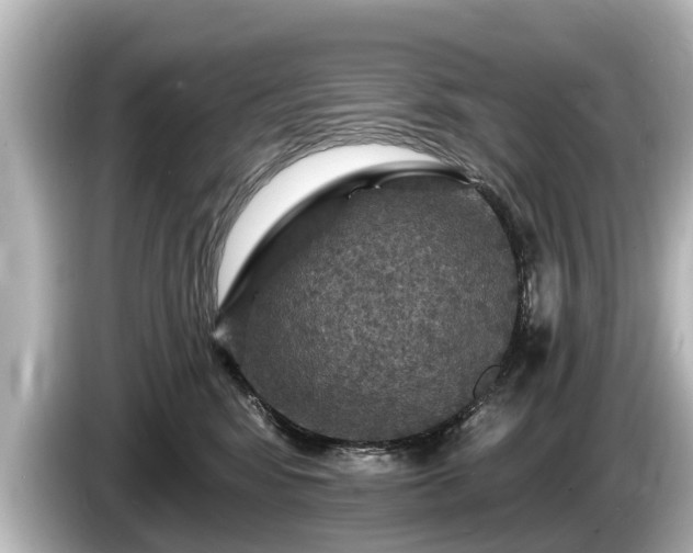 X0000085300424200703161437