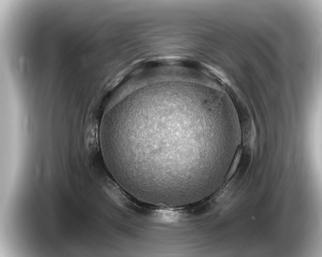 X0000085300425200703161437