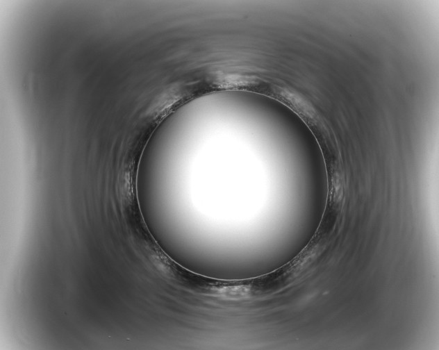 X0000085300426200703161437