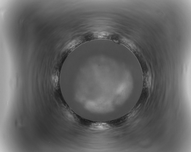 X0000085300427200703161437