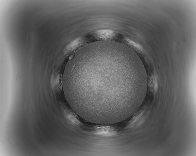 X0000085300428200703161437