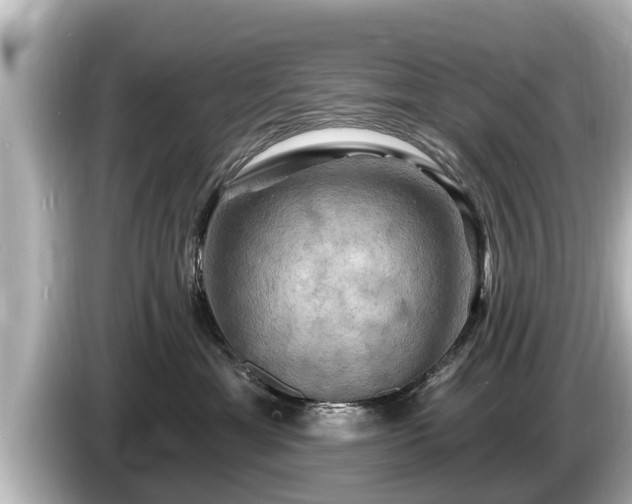 X0000085300429200703161437