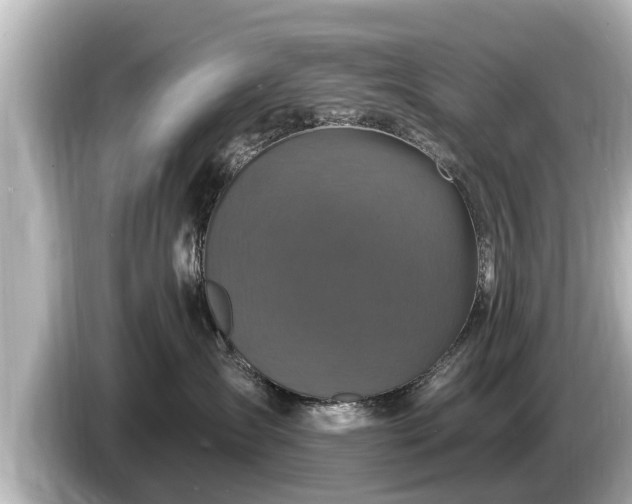 X0000085300431200703161437