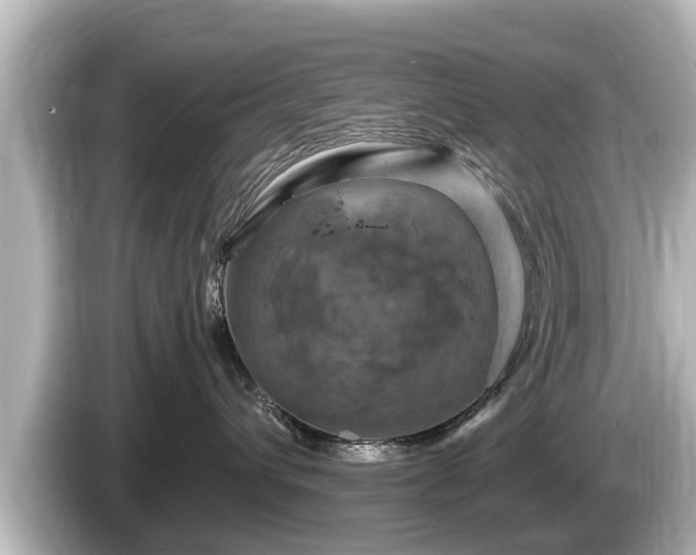 X0000085300432200703161437