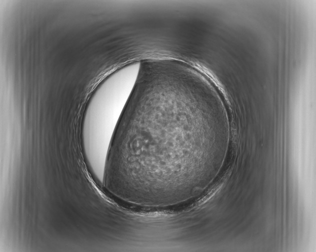 X0000085300433200703161436