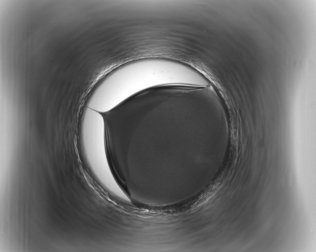 X0000085300434200703161436