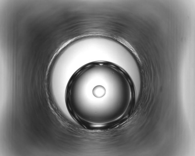 X0000085300436200703161436