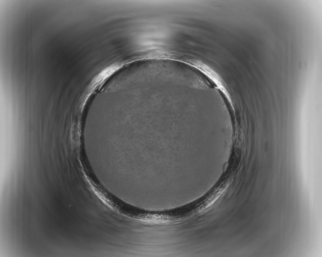 X0000085300437200703161436