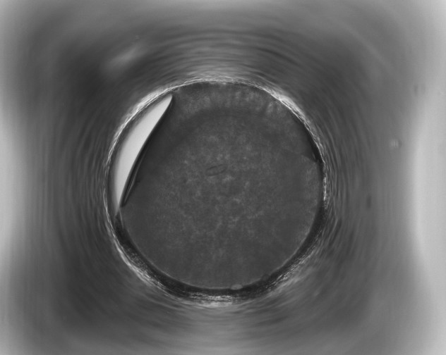 X0000085300438200703161436