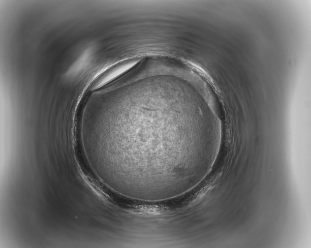 X0000085300439200703161436