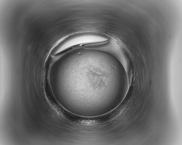 X0000085300440200703161436