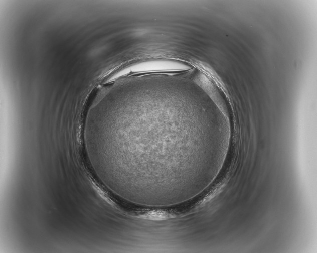 X0000085300441200703161436