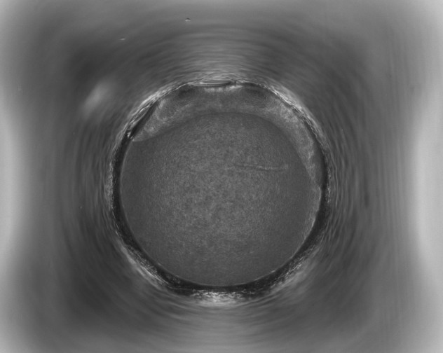 X0000085300442200703161436