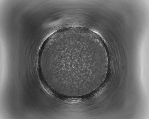 X0000085300443200703161436