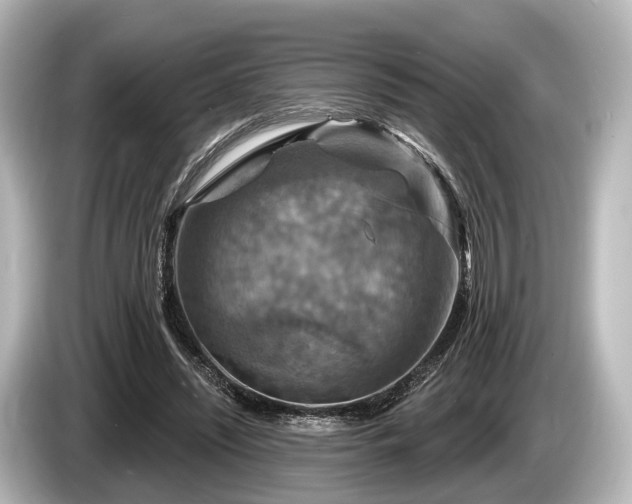 X0000085300444200703161436