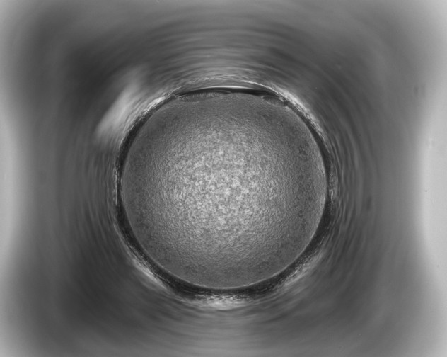 X0000085300445200703161437