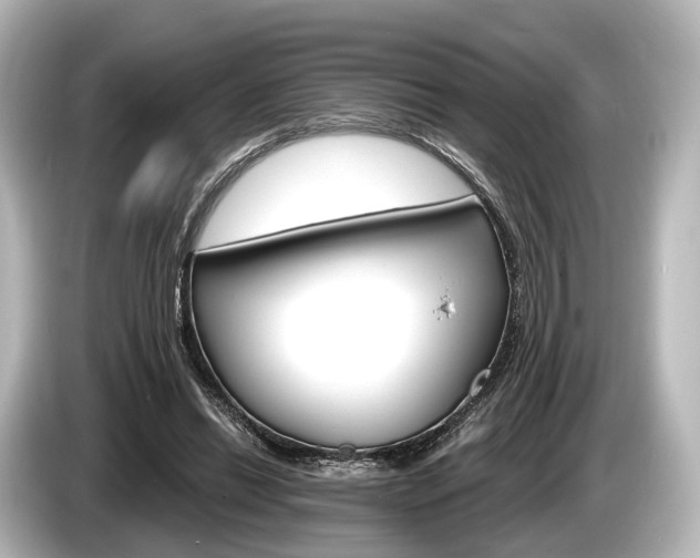 X0000085300446200703161437