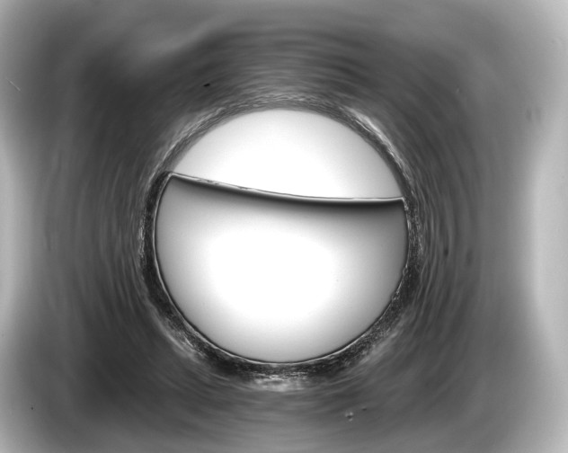 X0000085300447200703161437