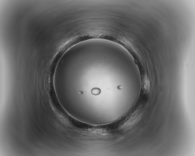 X0000085300448200703161437