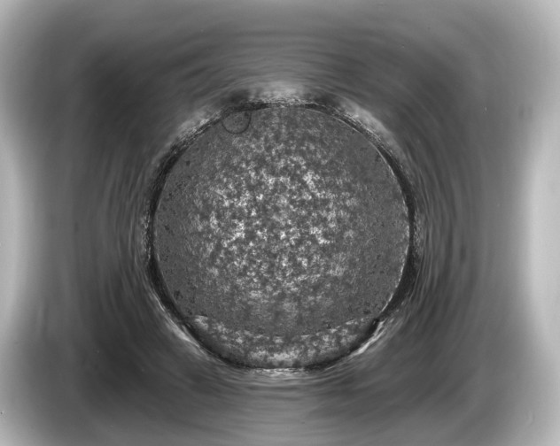 X0000085300449200703161437