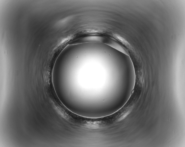 X0000085300450200703161437