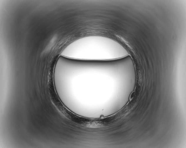 X0000085300451200703161437