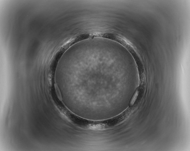 X0000085300452200703161437