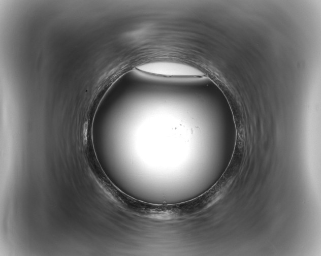 X0000085300454200703161437