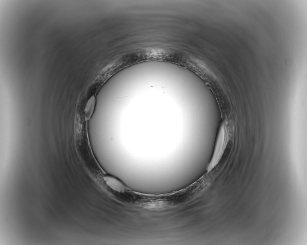 X0000085300456200703161437