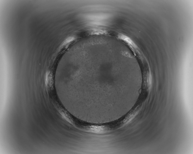 X0000085300457200703161437