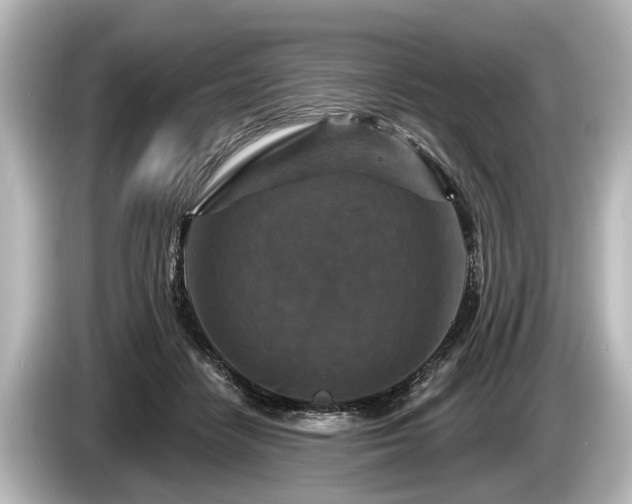 X0000085300458200703161437